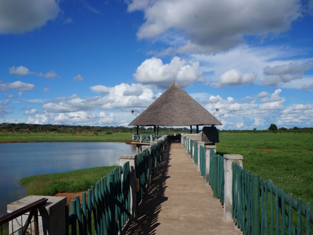 Safari, Kenya - Africa